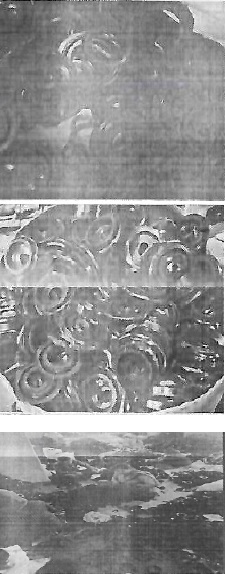 Uploaded Image